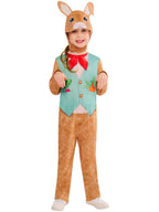 Kids Rabbit Costume