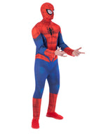 Spider-Man Adult Costume