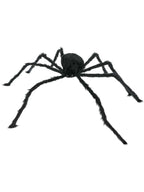 23146_PR_W.jpg