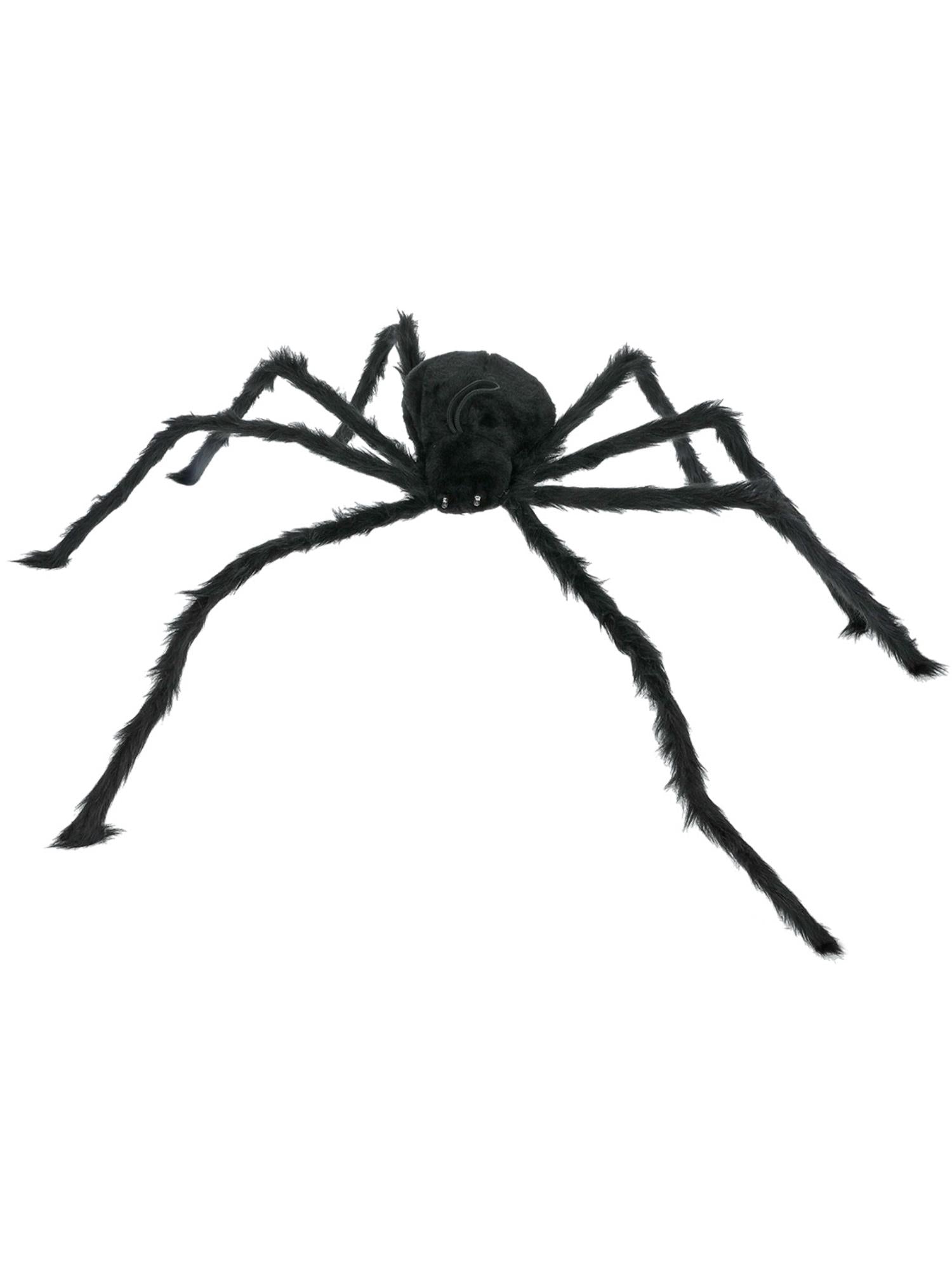 23146_PR_W.jpg
