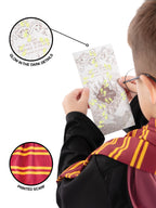 Harry Potter Accessory