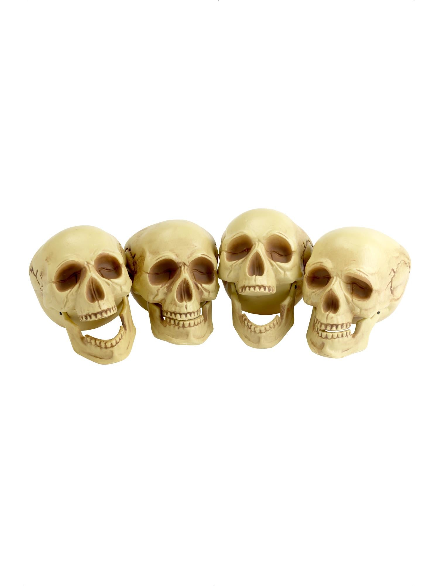 Skull Heads