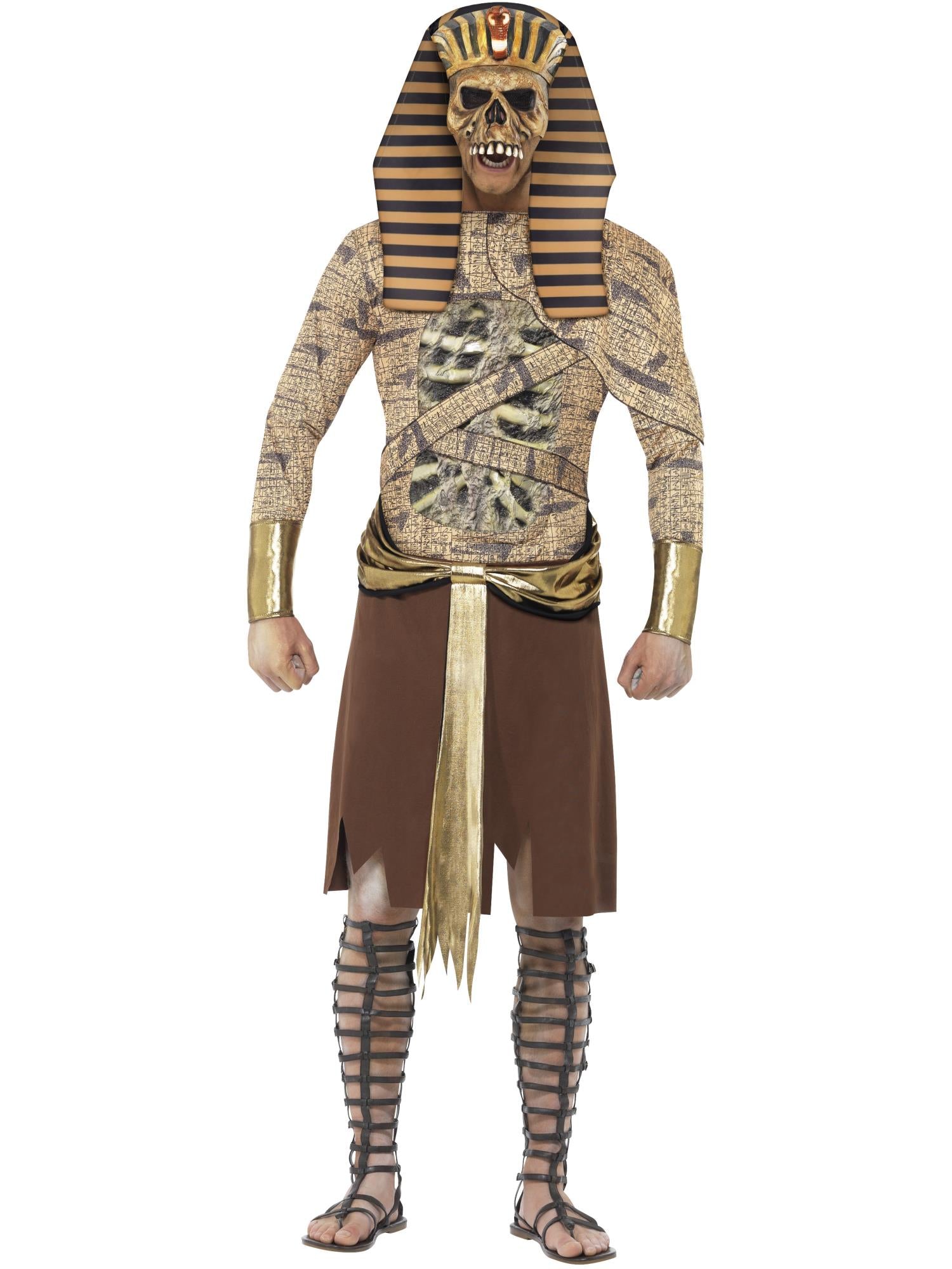 Zombie Pharaoh Adult Men's Costume