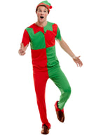 Elf Fancy Dress Costume