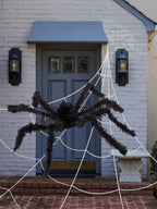 Outdoor Giant Spider & Web