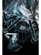 Outdoor Giant Spider & Web