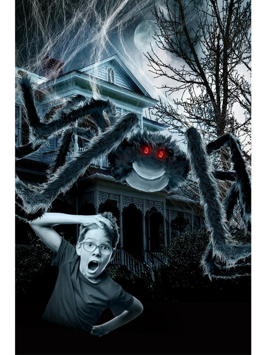 Outdoor Giant Spider & Web
