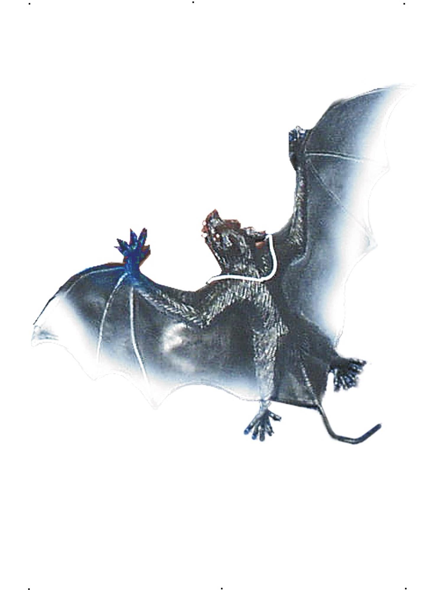 Large Vampire Bat