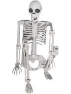 Lifesize Hanging Skeleton Prop
