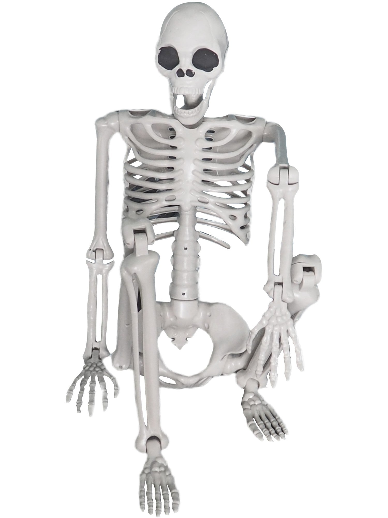Lifesize Hanging Skeleton Prop