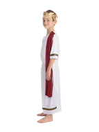 Kids Roman Emperor Costume