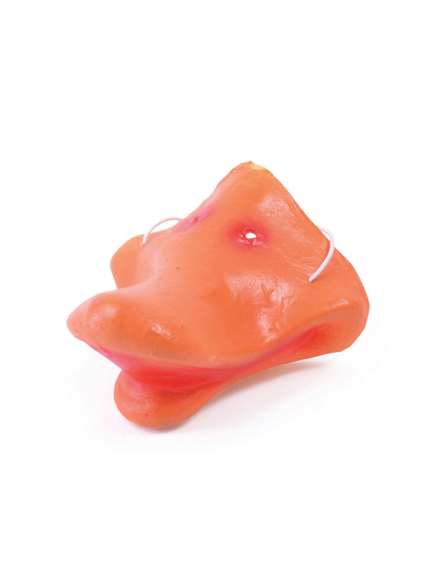 Duck Nose