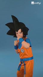 Dragon Ball Z Goku Kids Costume