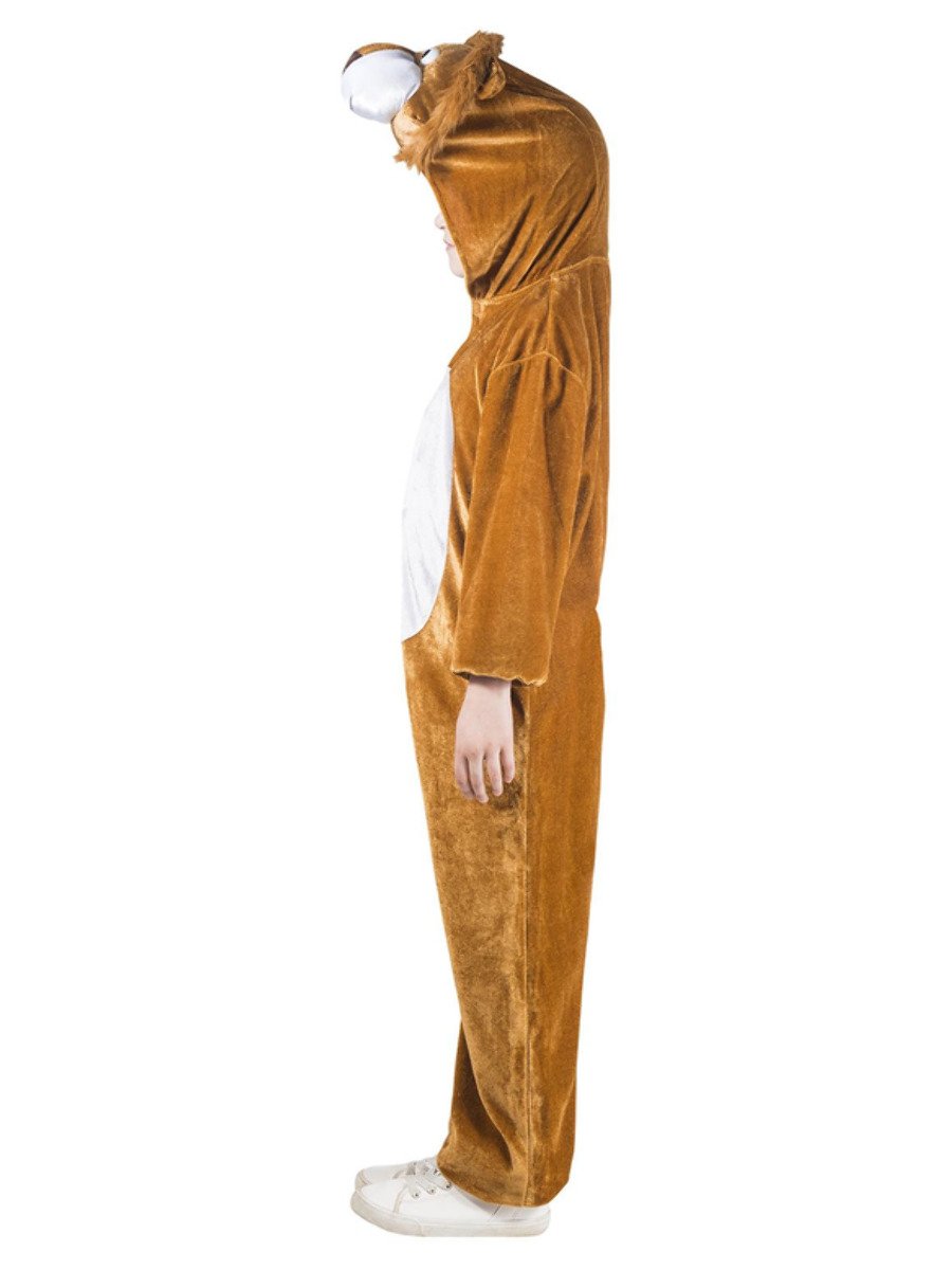 Child's Lion Costume Side