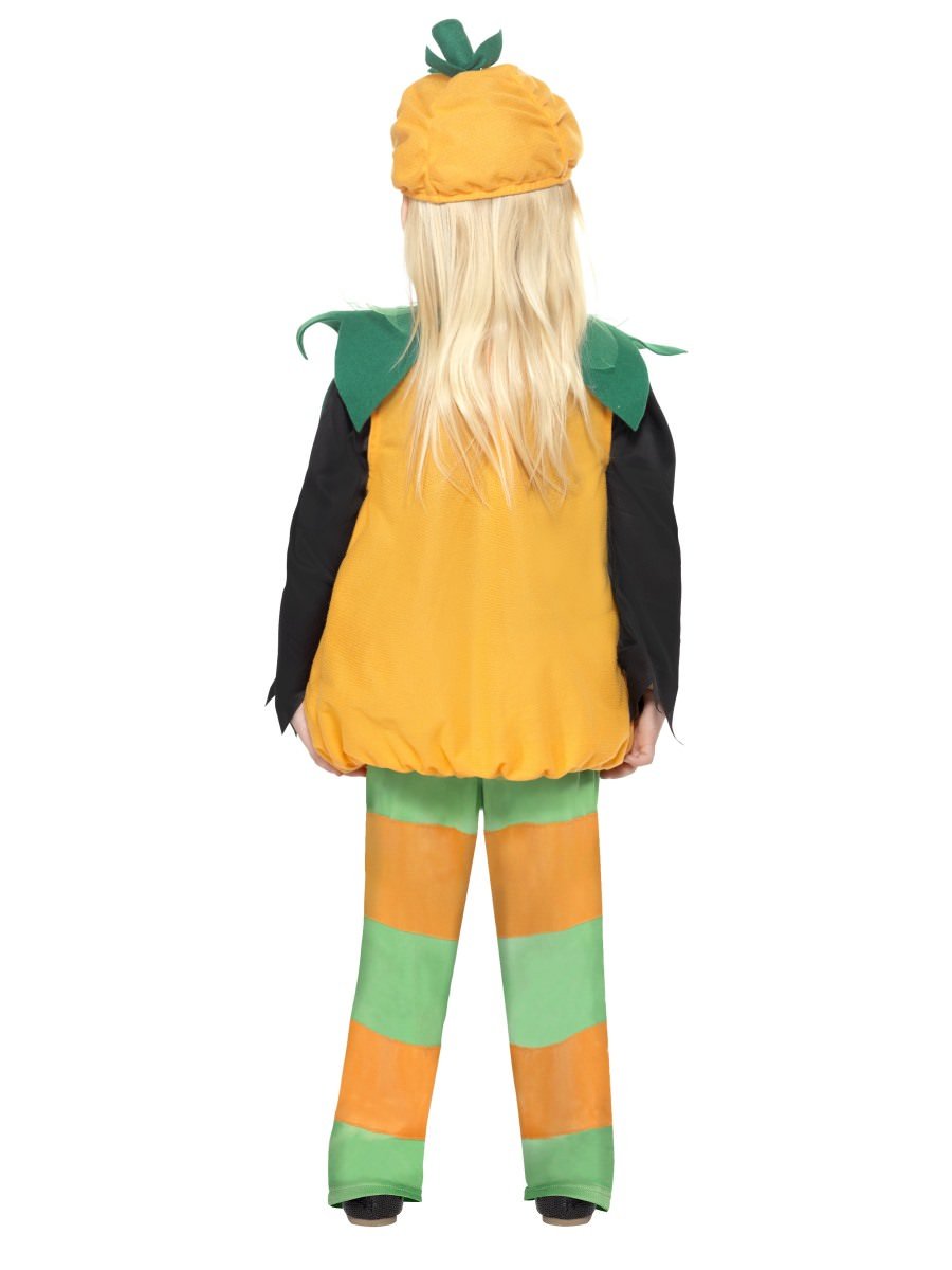 Little Pumpkin Costume Alternative View 3.jpg