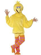 Sesame Street Big Bird Costume
